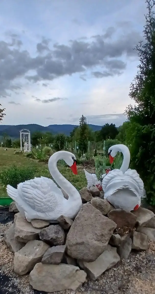 Лебеді