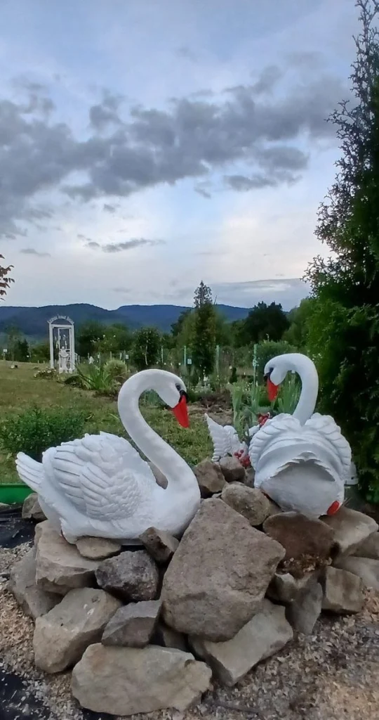 Лебеді в саду
